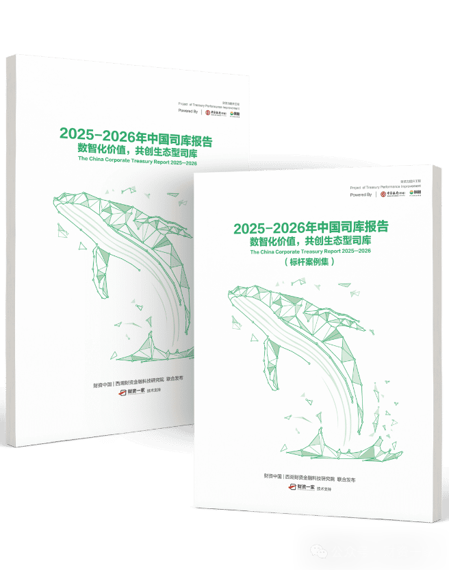 启程“十五五”：全景解读 财务数智化转型与智能化穿透式监管的新范式-财资一家
