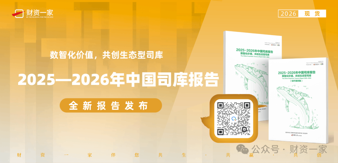 【对话】天职国际金融业咨询合伙人周瑾:财务公司数智化转型与全球司库构建-财资一家