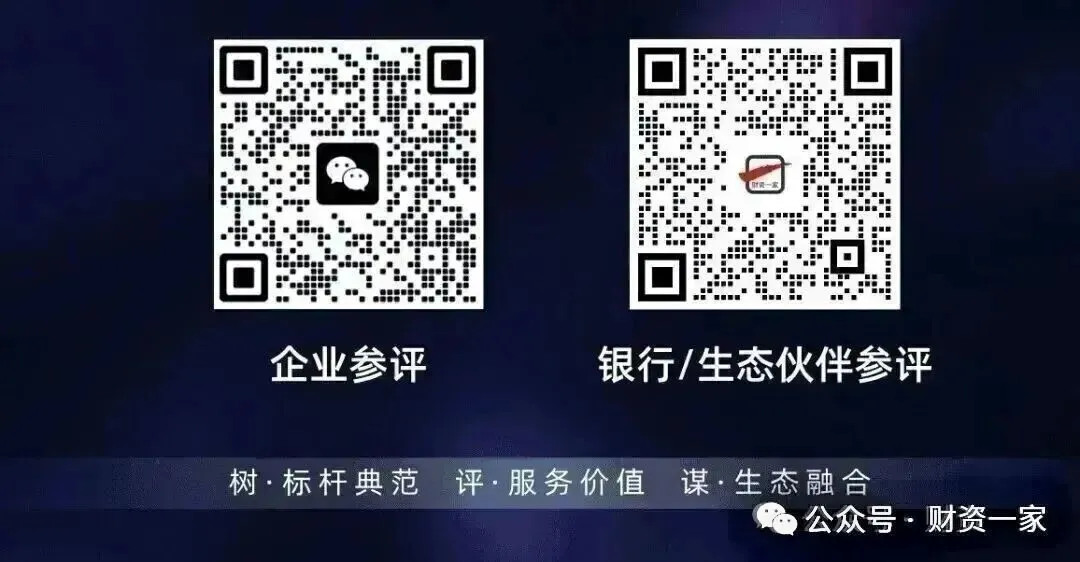 【对话】天职国际金融业咨询合伙人周瑾:财务公司数智化转型与全球司库构建-财资一家